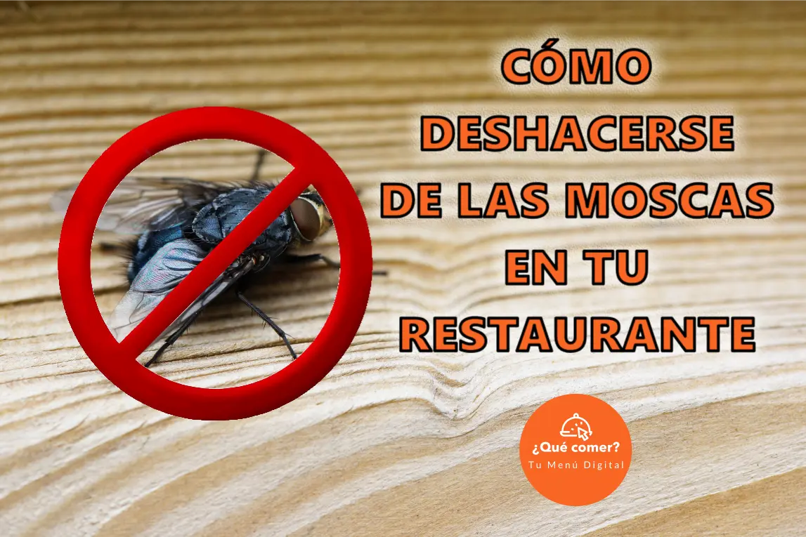 Como deshacerse de las moscas en un restaurante